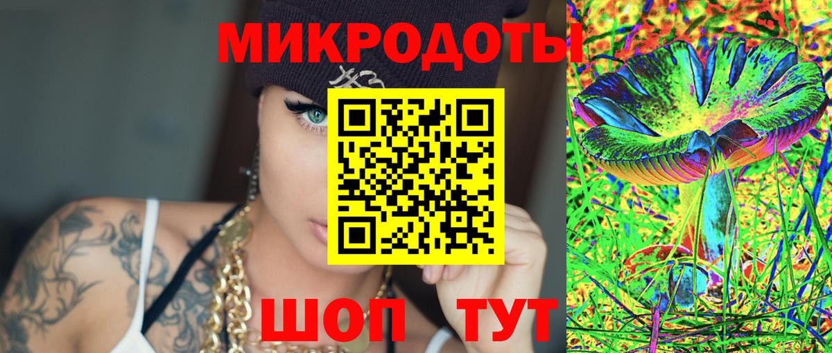 Псилоцибиновые грибы Psilocybine cubensis Южноуральск