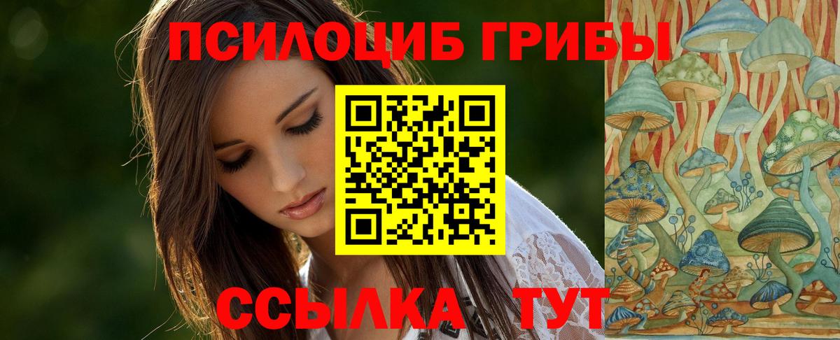 Псилоцибиновые грибы Cubensis  Вход с VPN  Южноуральск 